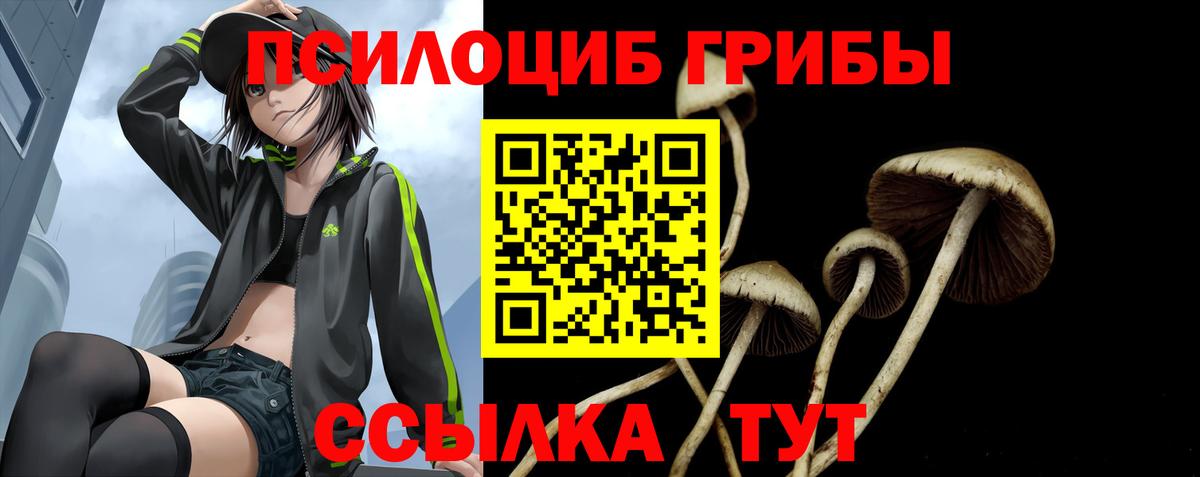 Псилоцибиновые грибы ЛСД Курчатов
